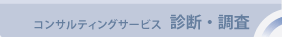 コンサルティングサービス 診断・調査